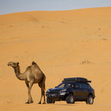 Lifted porsche Cayenne 957 GTS design edition with akioverland coilovers in kuwait desert with camel